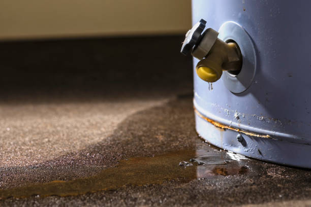 Best Basement water damage restoration  in Star Valley, AZ