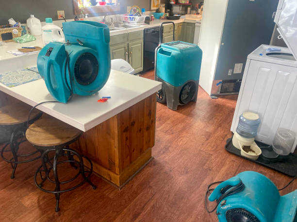 Best Ceiling water damage repair  in Star Valley, AZ