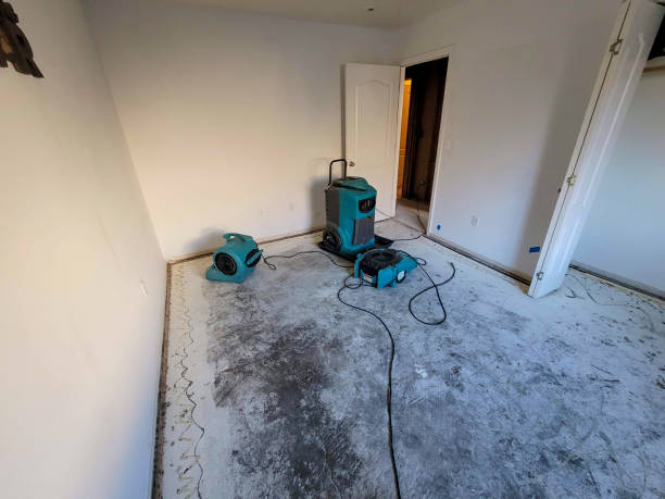 Best Water damage restoration company  in Star Valley, AZ