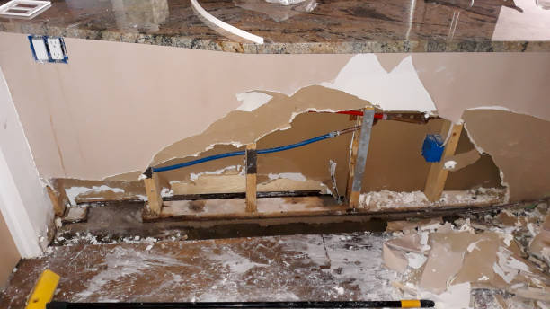 Best Mold removal after water damage  in Star Valley, AZ