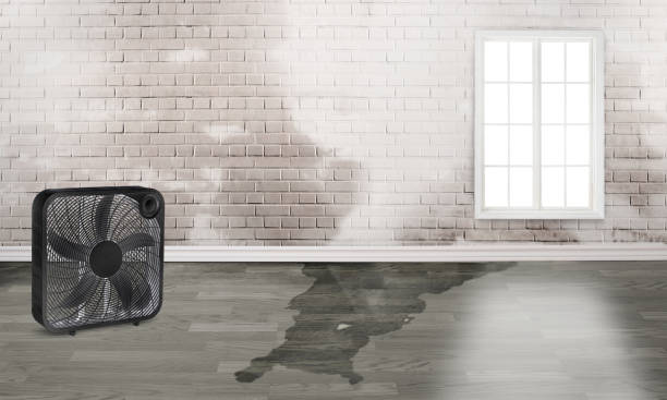 Best 24/7 water damage repair  in Star Valley, AZ