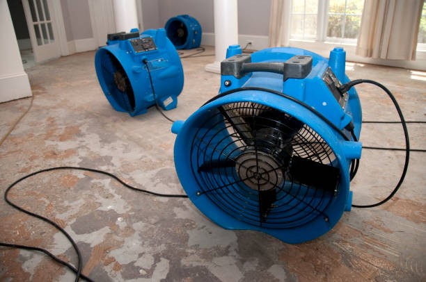 Best Carpet water damage restoration  in Star Valley, AZ