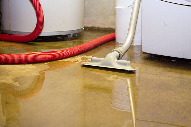 Best Commercial water damage restoration  in Star Valley, AZ