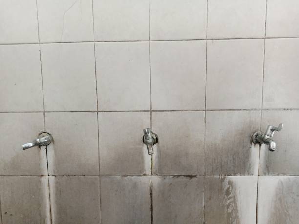 Best Water damage restoration near me  in Star Valley, AZ