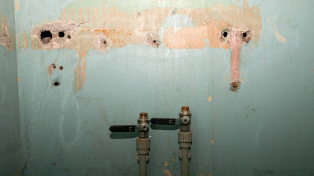 Star Valley, AZ Water damage restoration Company