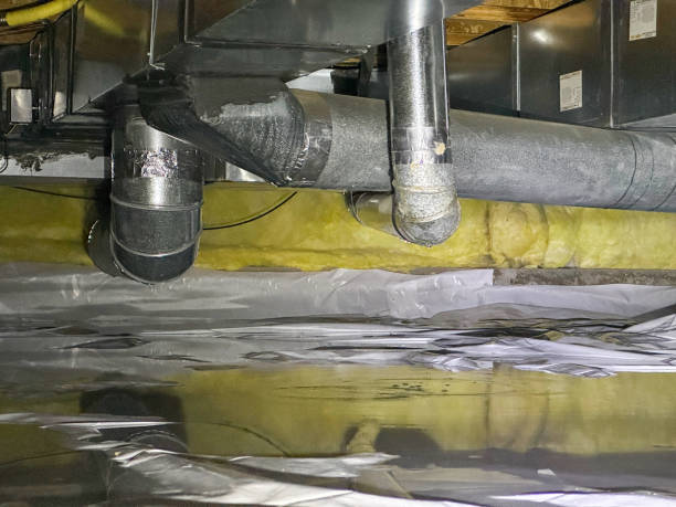 Best Local water damage restoration  in Star Valley, AZ