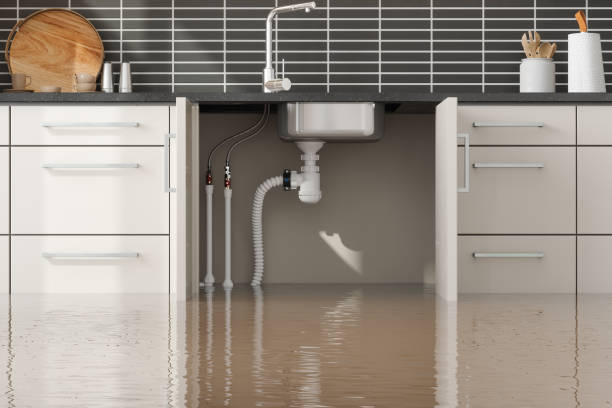 Best Commercial water damage restoration  in Star Valley, AZ