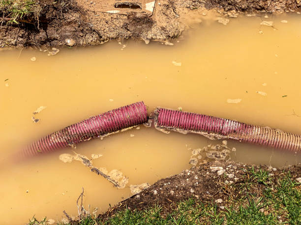  Star Valley, AZ Water damage restoration Pros